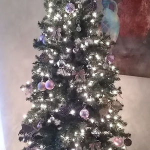 Meet your Posher, Kristina